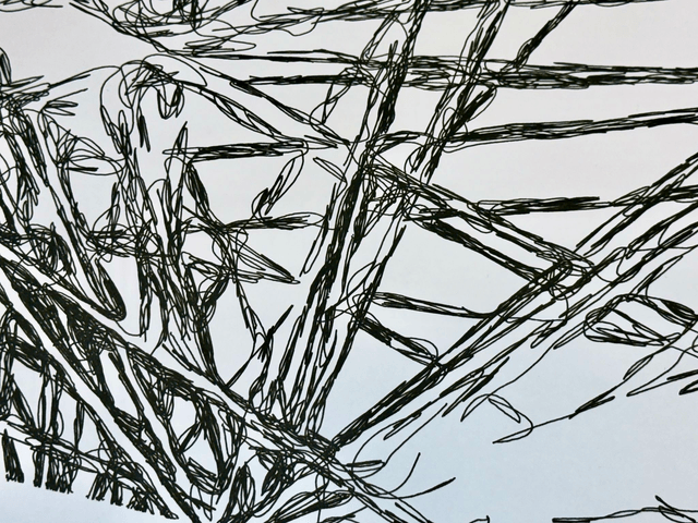 Spider threads pen plot