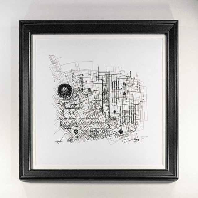 Amplificatio pen plot (framed)